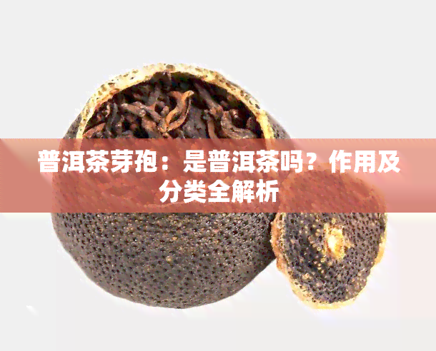 普洱茶芽孢：是普洱茶吗？作用及分类全解析