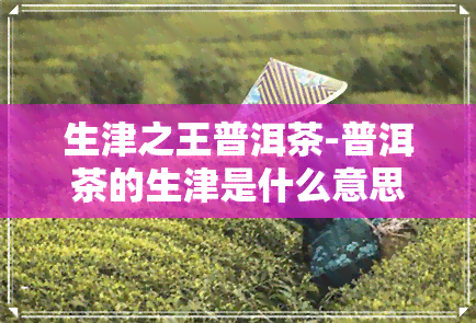 生津之王普洱茶-普洱茶的生津是什么意思