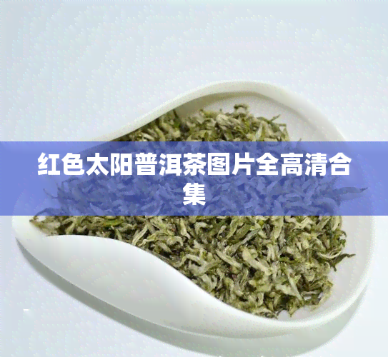 红色太阳普洱茶图片全高清合集