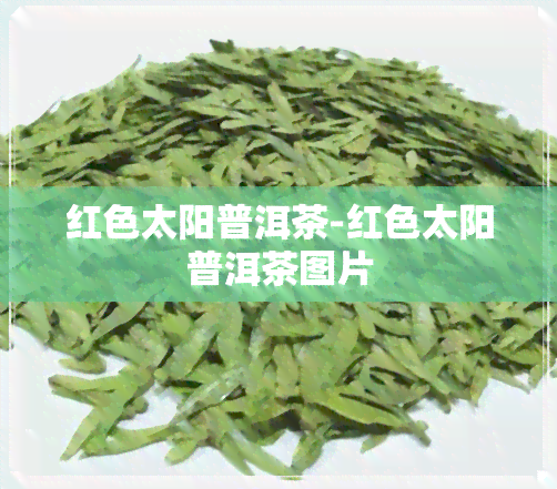 红色太阳普洱茶-红色太阳普洱茶图片