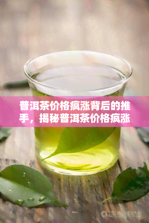 普洱茶价格疯涨背后的推手，揭秘普洱茶价格疯涨的背后推手！