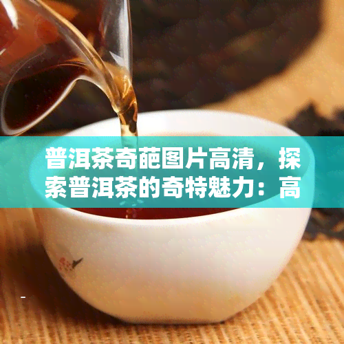 普洱茶奇葩图片高清，探索普洱茶的奇特魅力：高清奇葩图片大