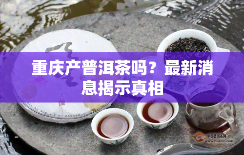 重庆产普洱茶吗？最新消息揭示真相