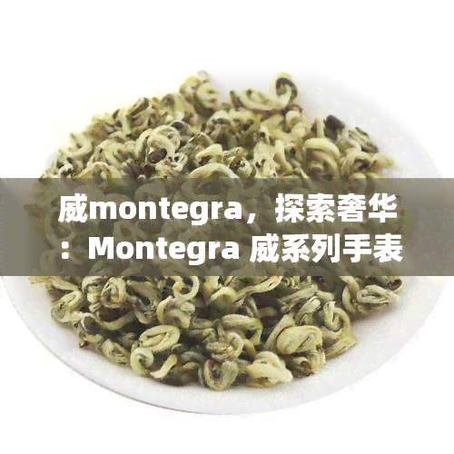 威montegra，探索奢华：Montegra 威系列手表的精致工艺与设计