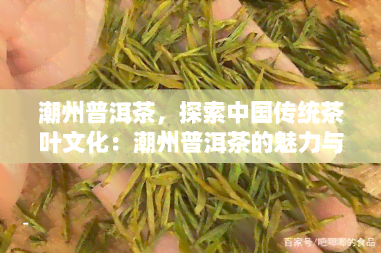 潮州普洱茶，探索中国传统茶叶文化：潮州普洱茶的魅力与价值