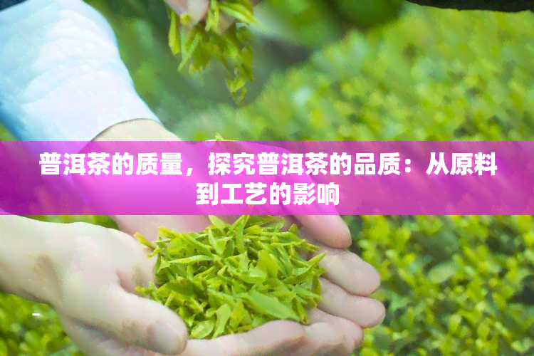 普洱茶的质量，探究普洱茶的品质：从原料到工艺的影响