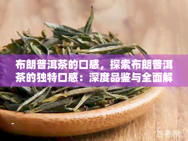 布朗普洱茶的口感，探索布朗普洱茶的独特口感：深度品鉴与全面解析