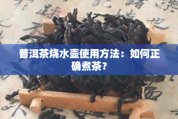 普洱茶烧水壶使用方法：如何正确煮茶？