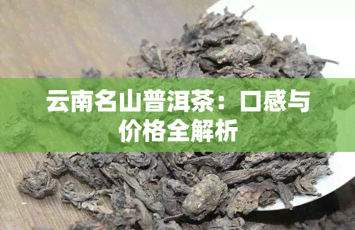 云南名山普洱茶：口感与价格全解析