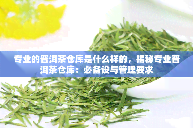 专业的普洱茶仓库是什么样的，揭秘专业普洱茶仓库：必备设与管理要求