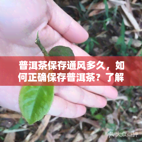 普洱茶保存通风多久，如何正确保存普洱茶？了解通风时间的重要性