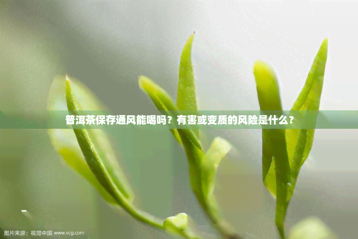 普洱茶保存通风能喝吗？有害或变质的风险是什么？