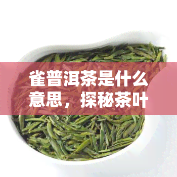 雀普洱茶是什么意思，探秘茶叶世界：什么是雀普洱茶？