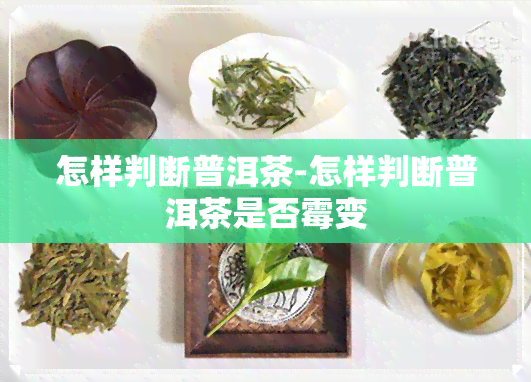 怎样判断普洱茶-怎样判断普洱茶是否霉变