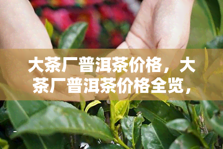 大茶厂普洱茶价格，大茶厂普洱茶价格全览，一文带你了解最新行情！