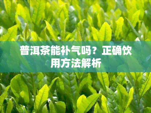 普洱茶能补气吗？正确饮用方法解析