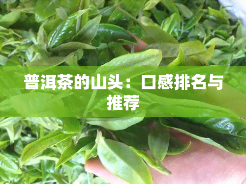 普洱茶的山头：口感排名与推荐