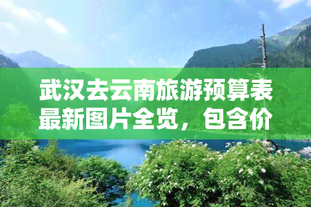 武汉去云南旅游预算表最新图片全览，包含价格信息