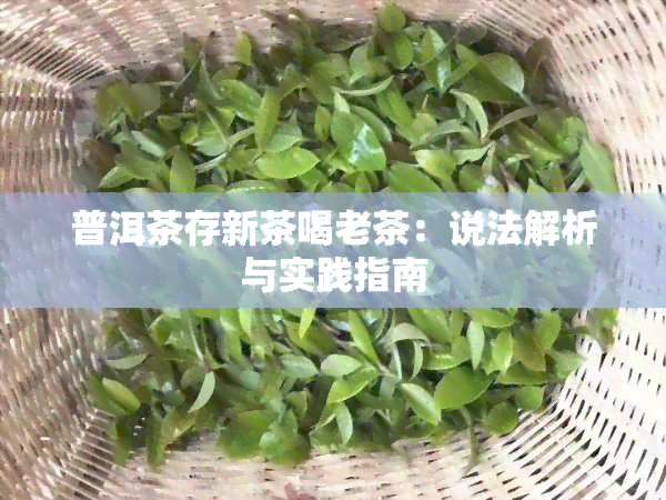 普洱茶存新茶喝老茶：说法解析与实践指南