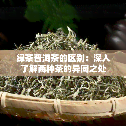 绿茶普洱茶的区别：深入了解两种茶的异同之处