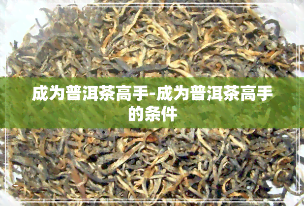 成为普洱茶高手-成为普洱茶高手的条件