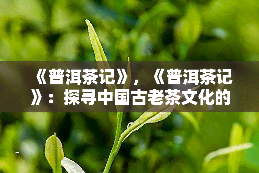 《普洱茶记》，《普洱茶记》：探寻中国古老茶文化的魅力