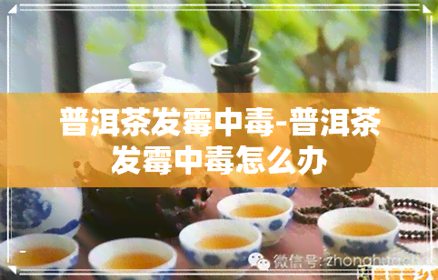 普洱茶发霉中-普洱茶发霉中怎么办