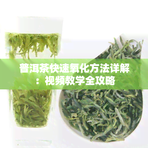 普洱茶快速氧化方法详解：视频教学全攻略