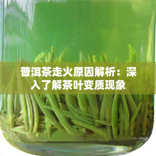 普洱茶走火原因解析：深入了解茶叶变质现象