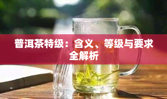 普洱茶特级：含义、等级与要求全解析