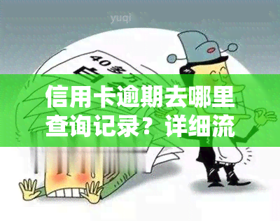 信用卡逾期去哪里查询记录？详细流程在这里！