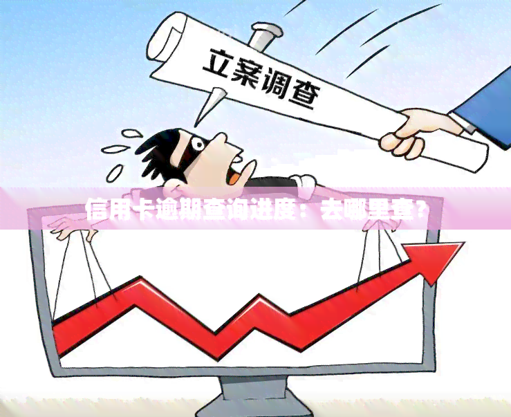 信用卡逾期查询进度：去哪里查？