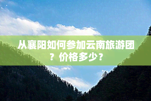 从襄阳如何参加云南旅游团？价格多少？