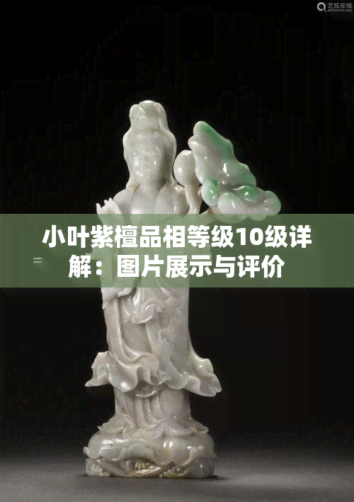 小叶紫檀品相等级10级详解：图片展示与评价