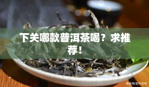 下关哪款普洱茶喝？求推荐！