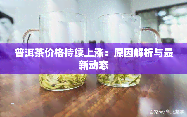 普洱茶价格持续上涨：原因解析与最新动态