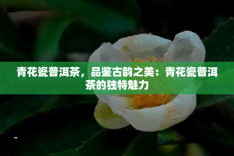 青花瓷普洱茶，品鉴古韵之美：青花瓷普洱茶的独特魅力