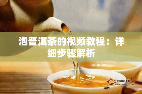 泡普洱茶的视频教程：详细步骤解析