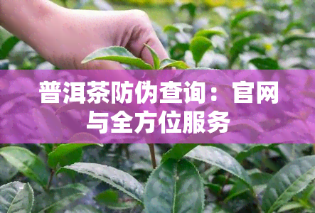 普洱茶防伪查询：官网与全方位服务