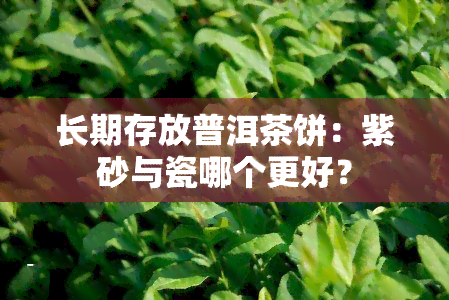 长期存放普洱茶饼：紫砂与瓷哪个更好？