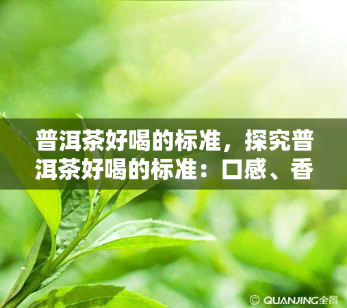 普洱茶好喝的标准，探究普洱茶好喝的标准：口感、香气与品质的考量