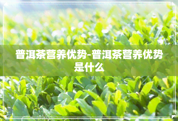 普洱茶营养优势-普洱茶营养优势是什么