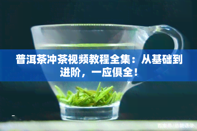 普洱茶冲茶视频教程全集：从基础到进阶，一应俱全！