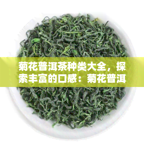 菊花普洱茶种类大全，探索丰富的口感：菊花普洱茶种类大全