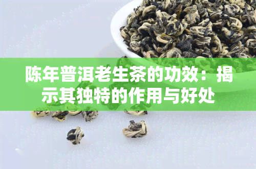 陈年普洱老生茶的功效：揭示其独特的作用与好处