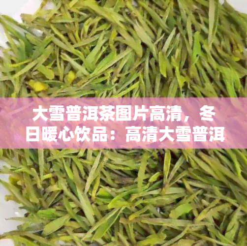 大雪普洱茶图片高清，冬日暖心饮品：高清大雪普洱茶图片欣