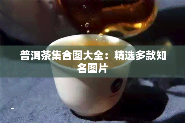 普洱茶     图大全：精选多款知名图片