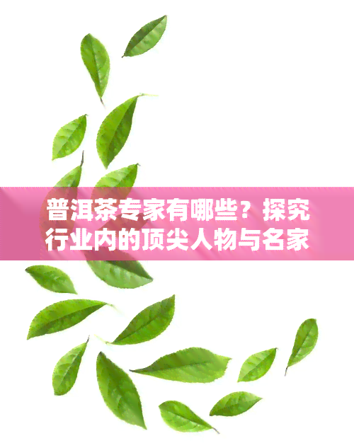 普洱茶专家有哪些？探究行业内的顶尖人物与名家