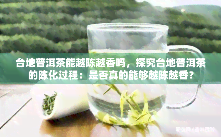 台地普洱茶能越陈越香吗，探究台地普洱茶的陈化过程：是否真的能够越陈越香？