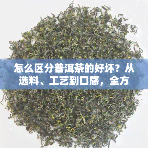 怎么区分普洱茶的好坏？从选料、工艺到口感，全方位解析！